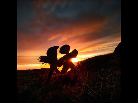 Видео: MC smes — Мой недо-неоромантизм (full EP 2024)