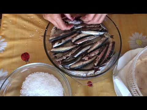 Видео: Как в Италии солят кильку. Закуска «Килька в петрушке».