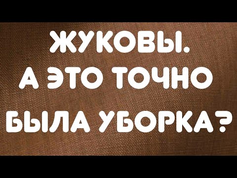 Видео: Жуковы// А это точно была уборка? // Обзор видео//