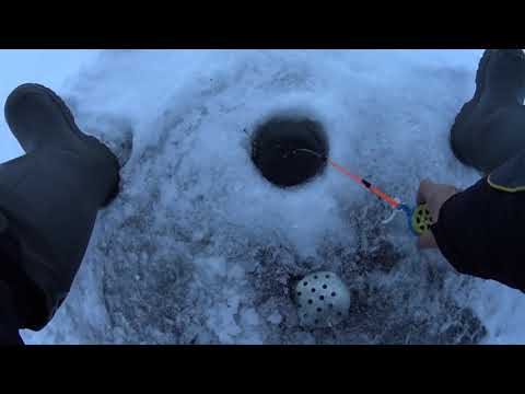 Видео: Зимняя рыбалка на средней волге.