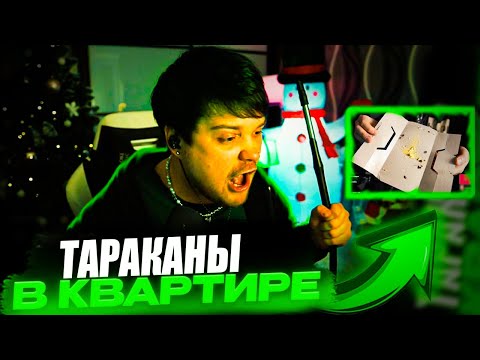 Видео: У Гвакамоли Тараканы в Квартире! Марк про Альбом Буды и Другое!