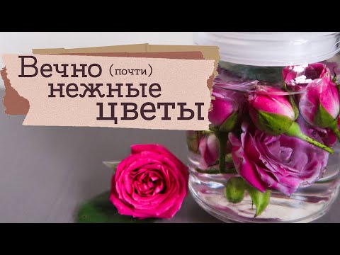 Видео: Японское колдовство - пробую стабилизацию цветов | Masherisha