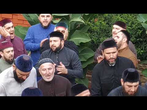 Видео: ЗИКР ИМРАН ИДРИС КУРЧАЛОЙ ТАМКАЕВ ШАМИЛАН САГӀА