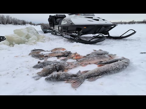 Видео: Рыбалка Сетями, Ставим Сети с Помощью Торпеды под Лёд, Ловля Сетями