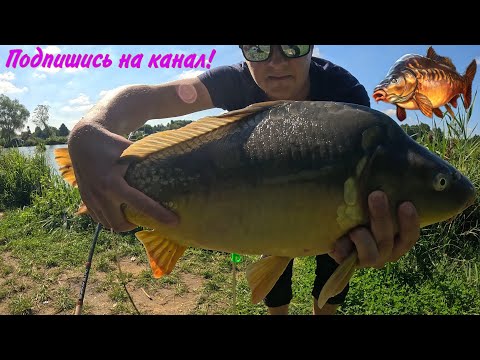 Видео: Кайфовая рыбалка, карась, окунь, карп! Съемка на GoPro!