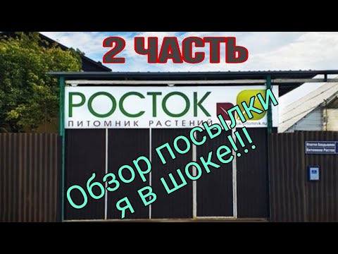 Видео: Питомник " Росток" г.Челябинск. Обзор посылки 2 часть.