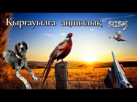 Видео: 1 ші Май ауылымен Көкжидеге  қырғауылға аңшылық жасап қайттық 2025