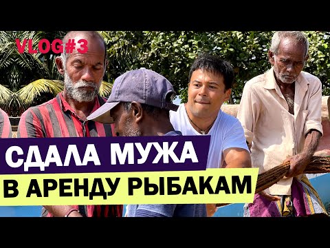Видео: Ничего не предвещало приключений... Как устроен рыбный рынок на Шри-ланке? Шри-ланка 2023 Галле
