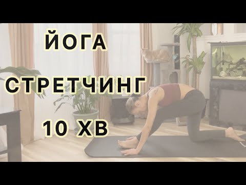 Видео: Розтяжка для тіла і розуму. 