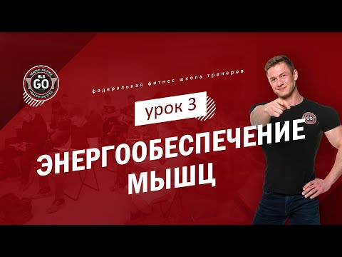 Видео: Энергообеспечение мышц - урок 3 (Какие бывают типы мышечных волокон)