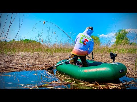 Видео: 100 кг РИБИ на КВАДРАТНИЙ МЕТР! КАМИШ КИПИТЬ! САЗАНИ ПРУТЬ!!!