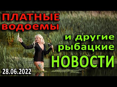 Видео: ПЛАТНЫЕ ВОДОЕМЫ и другие рыбацкие новости