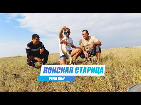 Видео: Рыбалка с ночёвкой на реке Кон. Ловля щуки на живца