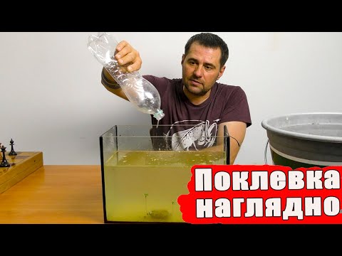 Видео: ПОЧЕМУ КАРАСЬ клюет на ПЕНОПЛАСТ, визуализация.   Рыболовные секреты / Полная версия.