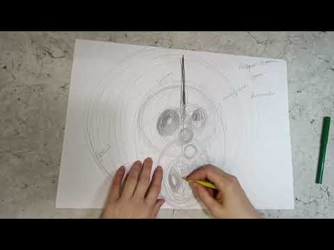 Видео: Взаимосвязи женского рода: я, сестра, мама, бабушка, прабабушка. Как раскрываются состояния.