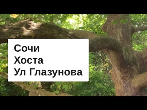 Видео: СОЧИ СЕГОДНЯ / ХОСТА / ул ГЛАЗУНОВА / по вашим просьбам