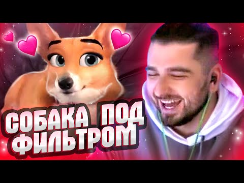 Видео: HARD PLAY СМОТРИТ БАЛТИМОР 343 СЕКУНД СМЕХА ЛУЧШИЕ ПРИКОЛЫ АВГУСТ 2020