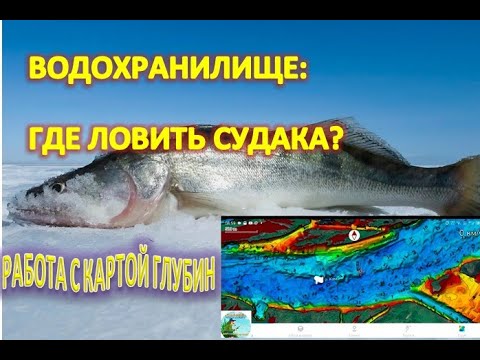 Видео: ВОДОХРАНИЛИЩЕ:  ГДЕ ЛОВИТЬ СУДАКА? РАБОТА с КАРТАМИ ГЛУБИН.