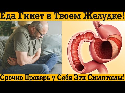 Видео: Еда ГНИЕТ в твоем желудке! Срочно проверь эти симптомы!