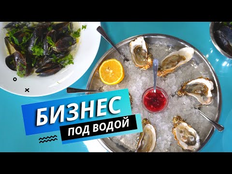 Видео: Устрично-мидийная ферма | Фермерское дело