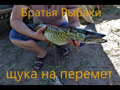 Видео: Разведка новых мест.Рыбалка на перемет, закидушки. Ловля щуки на перемет . Готовим на рыбалке