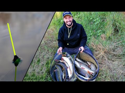Видео: НЕНОРМАЛНИ МРЕНИ на БОЛОНЕЗА - МАКАРАТА хвърли ГРЕСТА / Barbel Fishing / Barbi a Bolognese