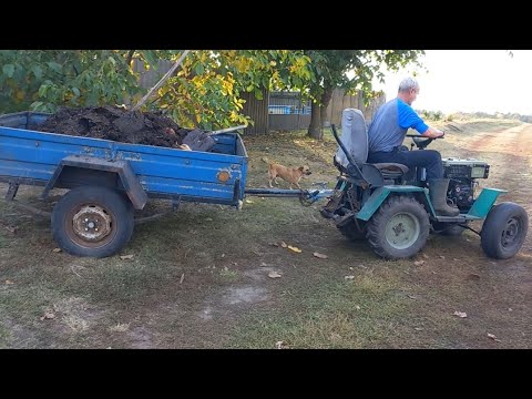 Видео: ПРО БУРЯКИ, ЧЕРВ'ЯКИ І ВАРЕНИКИ.