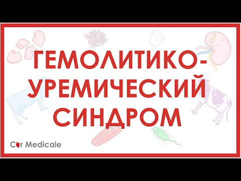 Видео: Гемолитико-уремический синдром: что такое, причины, патогенез, симптомы, принципы лечения