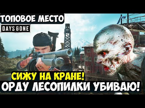 Видео: ТОПОВОЕ МЕСТО! СИЖУ НА КРАНЕ! Орду Лесопилки УБИВАЮ! #daysgone #жизньпосле #crane #sawmillhorde