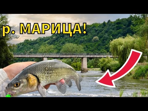 Видео: РИБОЛОВ на река Марица! РИБОЛОВ на КЕФАЛ с ВОБЛЕРИ! 
