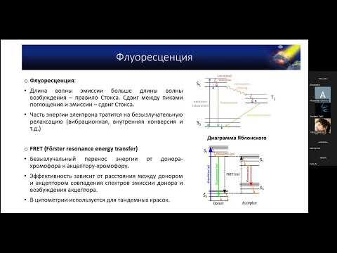 Видео: Александра Далина «Основы проточной цитометрии»