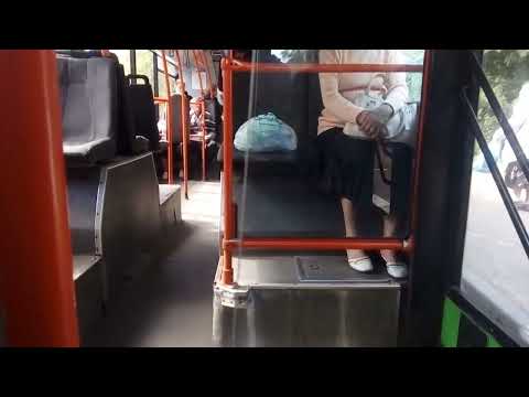 Видео: МАЗ-203.067 АА 9090-3. Маршрут №209 Гомель-Добруш 03.09.2022