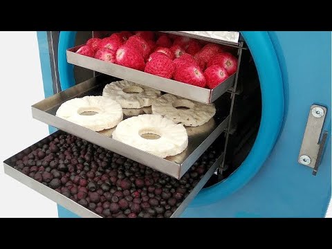 Видео: Лиофильная сушилка бытовая