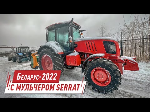 Видео: Трактор Беларус 2022В3 с лесным мульчером SERRAT FX+ T2000