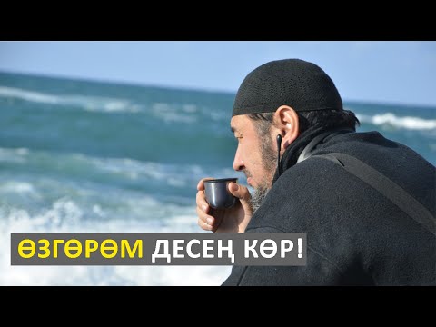 Видео: Муну эч ким айткан эмес эле! Эч ким күтпөгөн сунуш