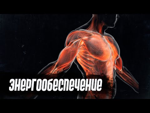 Видео: Энергообеспечение мышечной работы. Окисление жиров. Аэробный и анаэробный гликолиз.