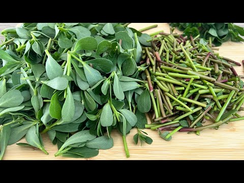 Видео: Очень вкусный портулак получается таким образом | Вам понравится этот рецепт | Включить субтитры ⚙