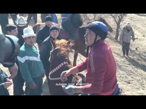 Видео: Өрүктү айылы Курсанттын уулдарынын Аламан Улагы
