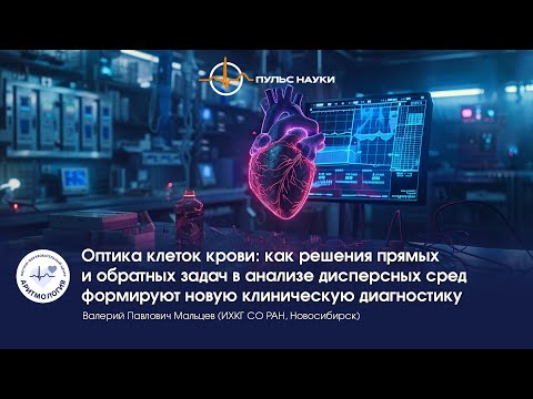 Видео: Оптика клеток крови: как решения прямых и обратных задач формируют новую клиническую диагностику