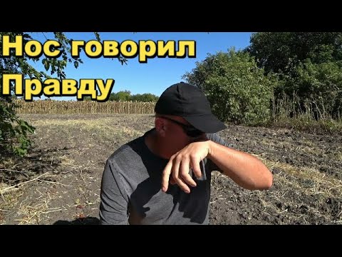 Видео: ЗНАКИ БЫЛИ СРАЗУ ТОЛЬКО ПРИЕХАЛ.УДАЧНЫЙ ПОИСК МОНЕТ.