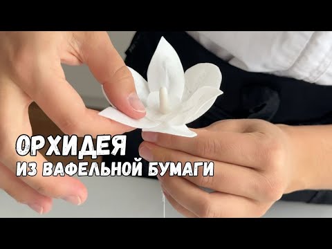 Видео: Орхидеи из вафельной бумаги получатся у всех! Декор для торта просто и быстро!