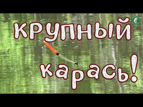 Видео: РЫБАК ПОДЕЛИЛСЯ ХИТРОЙ НАСАДКОЙ И Я ПОЙМАЛ ОГРОМНЫХ КАРАСЕЙ! ЩУКА, ЛЕЩИК, ОКУНЬ! РЫБАЛКА НА УРАЛЕ!