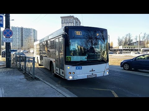 Видео: Автобус, маршрут №63 МАЗ-203.067 б.306 (09.03.2022) Санкт-Петербург
