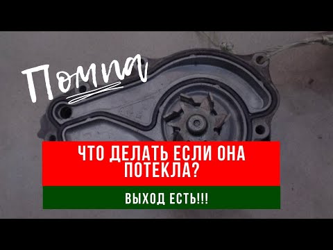 Видео: Замена сальника, манжеты помпы Omaks motrac R11 JJ250 170mm AX-1 irbis z1 patron taker 250