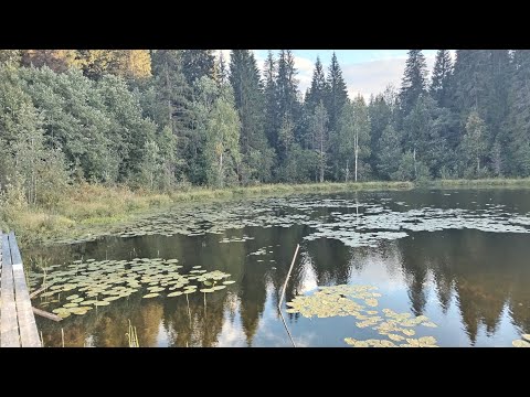 Видео: РЫБАЛКА НА ГЛУХОМ ОЗЕРЕ / ЕДУ НА 5 ДНЕЙ В ТАЕЖНУЮ СЕВЕРНУЮ ДЕРЕВНЮ