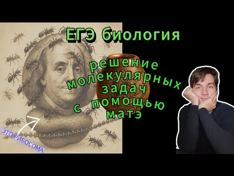 Видео: Решение задач на матричное копирование и синтез белка. Заблуждения о ЕГЭ по биологии.