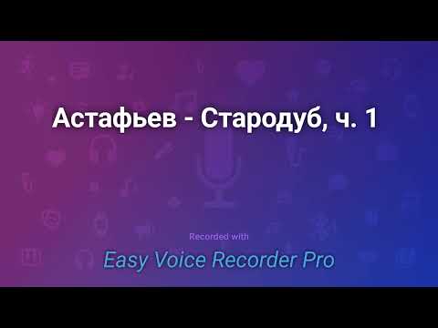 Видео: Астафьев   Стародуб, ч  1