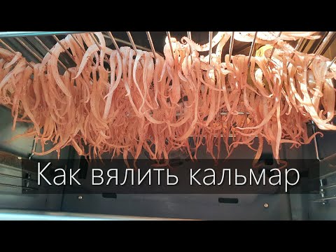 Видео: Как завялить щупальца и тело кальмара