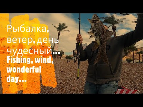 Видео: Рыбалка, ветер и волна, корзина усача полна! (Могла бы быть...) Fishing, wind and wave on Kinneret