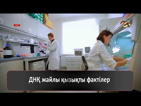 Видео: ДНҚ жайлы қызықты фактілер